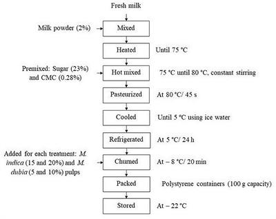 Influence of the pulp of Mangifera indica and Myrciaria dubia on the bioactive and sensory properties of ice cream